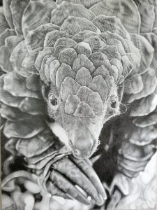 019