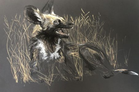 079