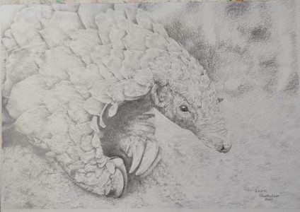 142