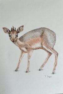 164