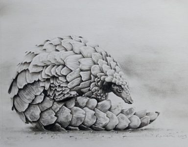200_L