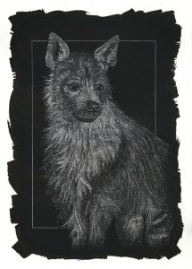 A26_126