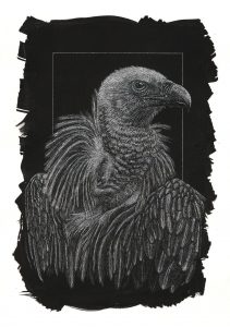 A26_127