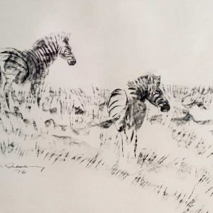 A_D__A-Striped-Story-1.jpg