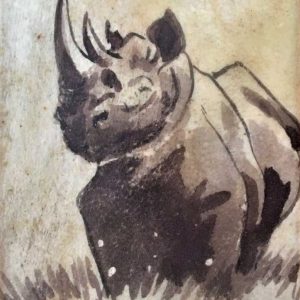 A_D__Rhino-1.jpg