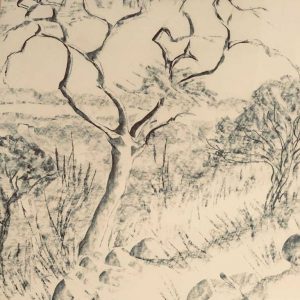 A_D__Tree-Study-1.jpg