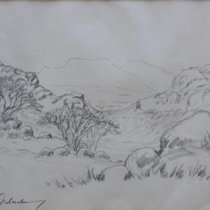 A_D__Valley-1.jpg