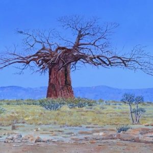 Baobab blue landscapejpg