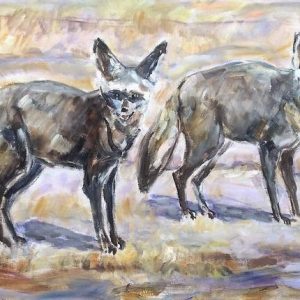 Bat-Eared Foxes Wildlife