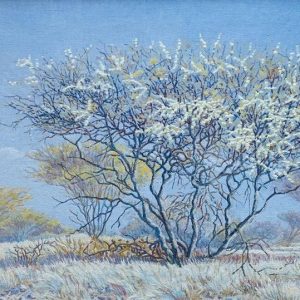Blossom-Tree