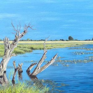 Caprivi