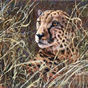Cheetah in the Grass