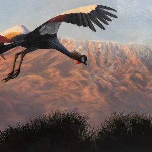 Crown of Kilimanjaro