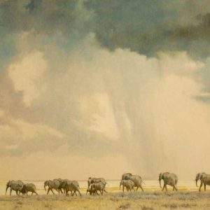 D_K_Brewing-Storm.jpg
