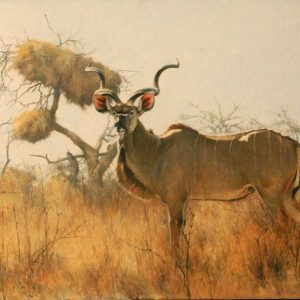D_K_Kudu-Weaver-Nest.jpg
