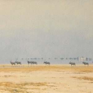 D_K_Namutoni-Mirage.jpg