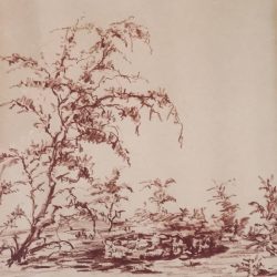Dead Wood