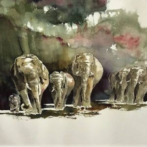 Elephants Green Wildlife