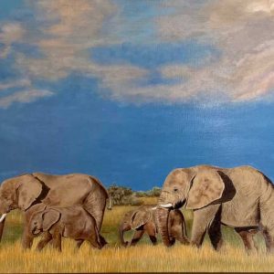 Elephants