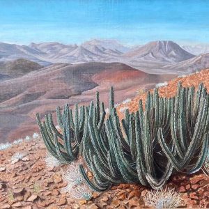 Euphorbia