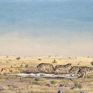 Gathering at the Waterhole