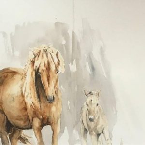 Horses