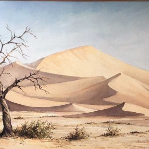 K_W_Sossus-Vlei.jpg