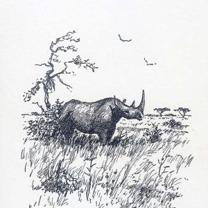 L_H_Rhino.jpg
