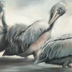 M_L_Pelicans.jpg