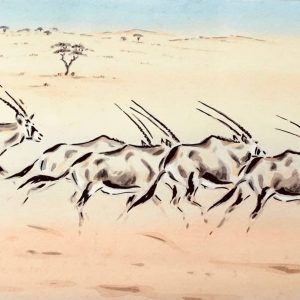 Oryx in Motion