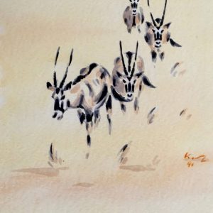 Oryx