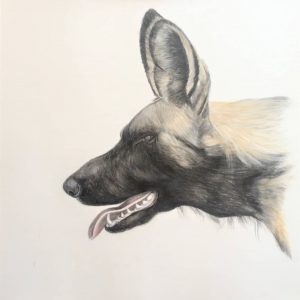 Portrait II