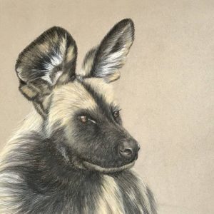 Portrait III