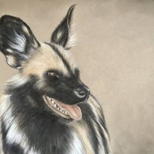Portrait IV