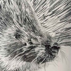 Prickles_Easy