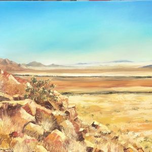 Spreetshoogte namib desert landscape