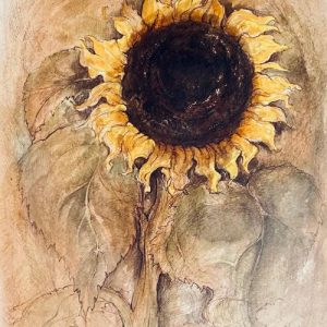 The-Sunflower