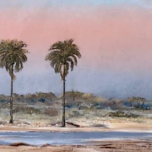 Twee Palms