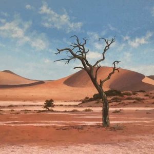 V_S_W_Dead-Vlei