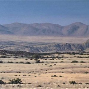 V_S_W_Desert-Scape_