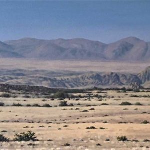 V_S_W_Desert-Scape_