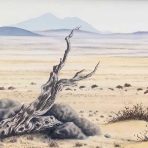 V_S_W_Illusions