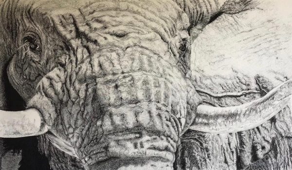 Voortrekke_min
