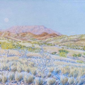 Winter-Morning
