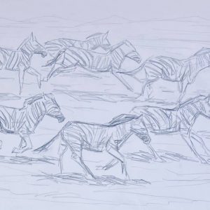 Zebras Motion Graphite Drawing