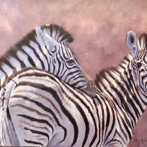 Zebras