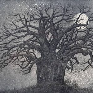 baobab moon etching