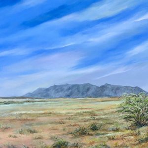 brandberg landscape