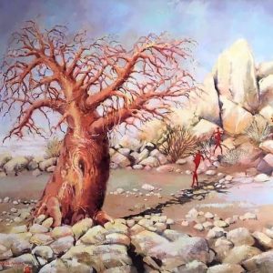 bushman san baobab