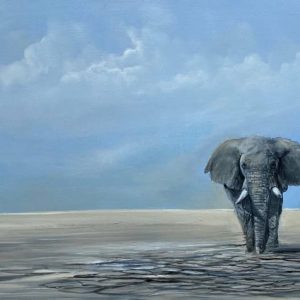 desert elephant dry riverbed wildlife